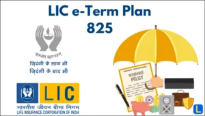 LIC e-Term Plan 825